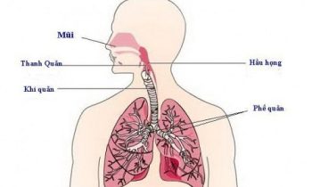 Viêm đường hô hấp trên – Bệnh lý phổ biến dễ mắc phải
