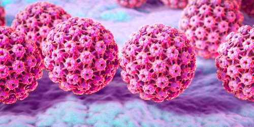 HPV là nhóm virus phổ biến gây nên các bệnh vùng kín ở con người